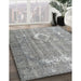 Machine Washable Traditional Cloud Gray Rug in a Family Room, wshtr3593