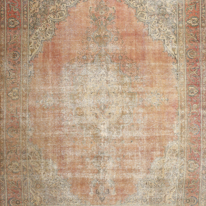 Traditional Orange Brown Persian Rug, tr3594