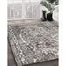 Traditional Pale Silver Gray Persian Rug in Family Room, tr3595