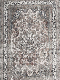 Machine Washable Traditional Pale Silver Gray Rug, wshtr3595