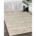 Traditional Camel Brown Persian Rug in Family Room, tr3598