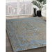 Machine Washable Traditional Smokey Gray Rug in a Family Room, wshtr3602