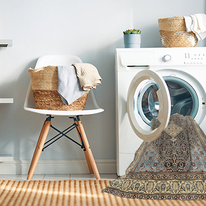 Machine Washable Traditional Brown Rug in a Washing Machine, wshtr3604