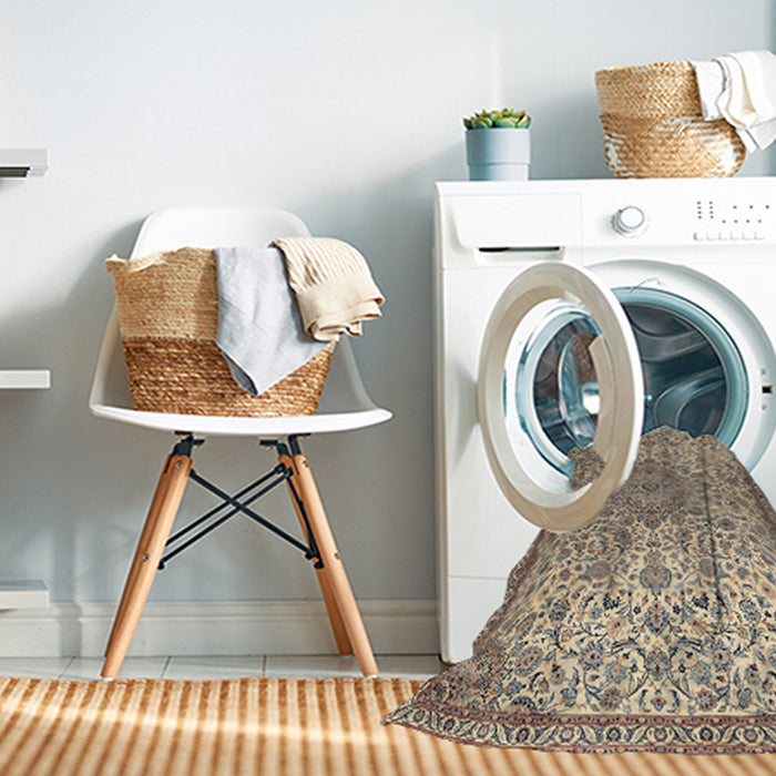 Machine Washable Traditional Brown Rug in a Washing Machine, wshtr3606