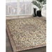 Machine Washable Traditional Brown Rug in a Family Room, wshtr3606