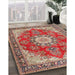 Traditional Red Persian Rug in Family Room, tr3615