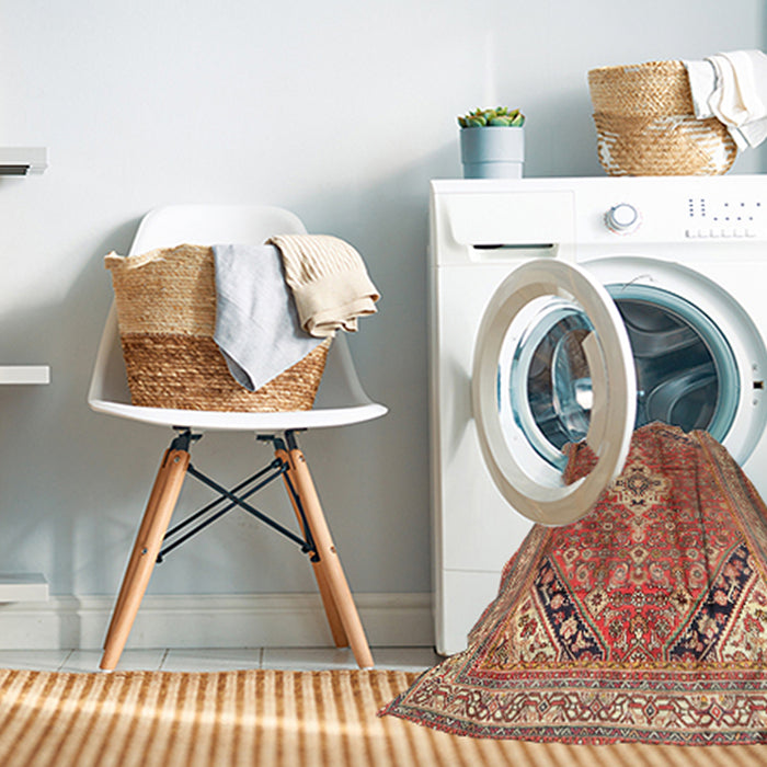 Machine Washable Traditional Sandy Brown Rug in a Washing Machine, wshtr3635