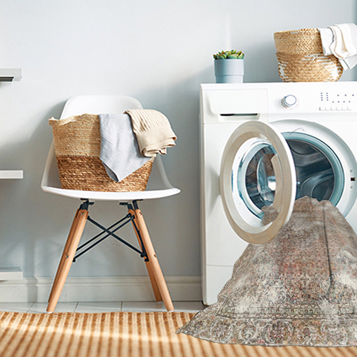 Machine Washable Traditional Dark Almond Brown Rug in a Washing Machine, wshtr3641