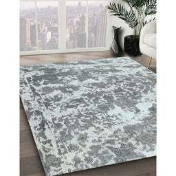 Traditional Silver Gray Persian Rug in Family Room, tr3644