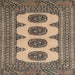 Round Machine Washable Traditional Coffee Brown Rug, wshtr364