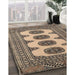 Machine Washable Traditional Coffee Brown Rug in a Family Room, wshtr364