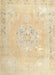 Machine Washable Traditional Khaki Gold Rug, wshtr3653