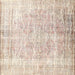 Square Traditional Wheat Beige Persian Rug, tr3654