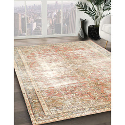 Traditional Light Copper Gold Persian Rug in Family Room, tr3655