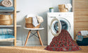 Machine Washable Traditional Brown Rug in a Washing Machine, wshtr3657