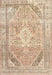 Traditional Brown Persian Rug, tr3659