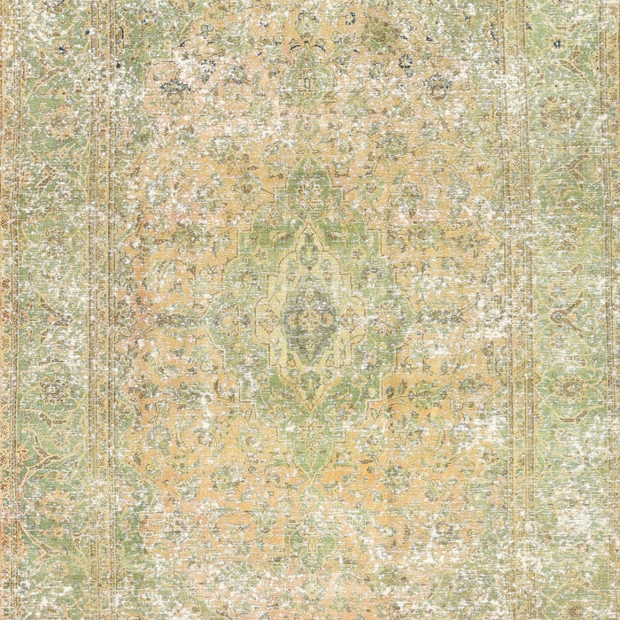 Traditional Brown Gold Persian Rug, tr3669