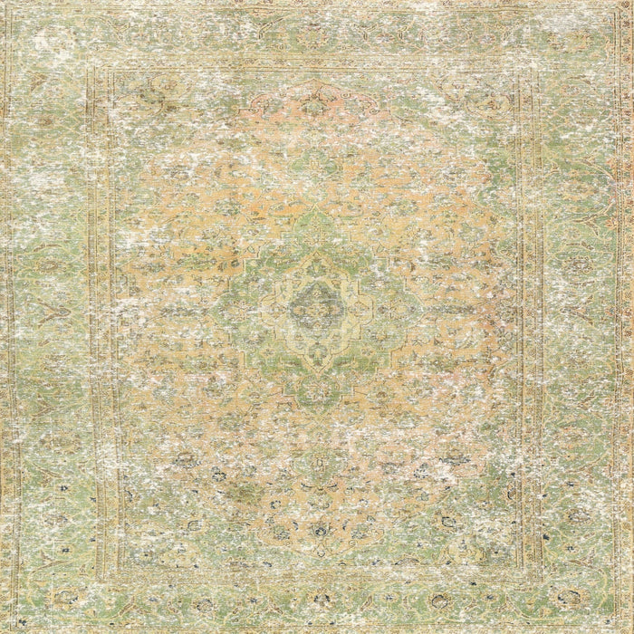 Square Traditional Brown Gold Persian Rug, tr3669