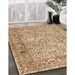 Machine Washable Traditional Light Brown Rug in a Family Room, wshtr3670