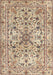 Traditional Sienna Brown Persian Rug, tr3673