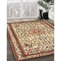 Traditional Brown Red Persian Rug in Family Room, tr3675