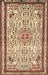 Machine Washable Traditional Brown Red Rug, wshtr3675