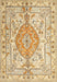 Traditional Brown Gold Medallion Rug, tr3683