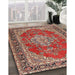 Traditional Red Medallion Rug in Family Room, tr3685