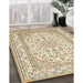 Traditional Khaki Gold Medallion Rug in Family Room, tr368