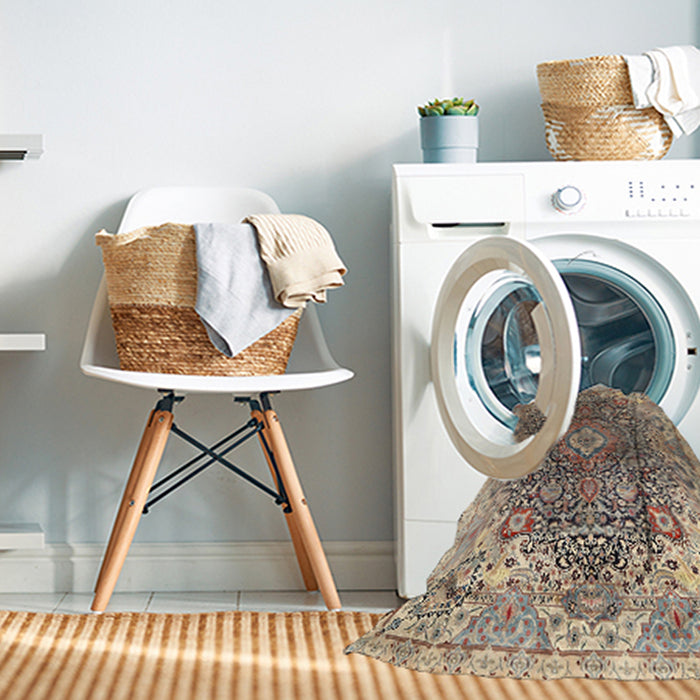 Machine Washable Traditional Sepia Brown Rug in a Washing Machine, wshtr3696