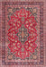 Traditional Light Copper Gold Persian Rug, tr3698