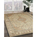 Traditional Brown Medallion Rug in Family Room, tr369