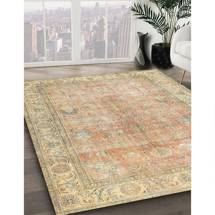 Traditional Brown Persian Rug in Family Room, tr3705