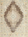 Traditional Golden Blonde Gold Persian Rug, tr3707