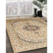 Machine Washable Traditional Khaki Gold Rug in a Family Room, wshtr370