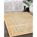 Machine Washable Traditional Brown Gold Rug in a Family Room, wshtr3714