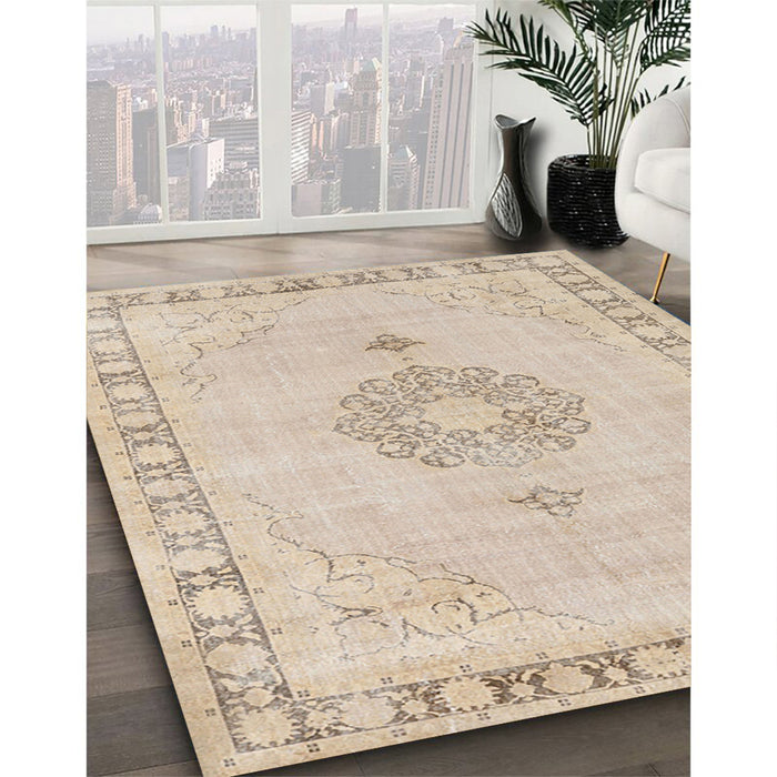 Traditional Light French Beige Brown Persian Rug in Family Room, tr3716