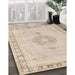 Traditional Light French Beige Brown Persian Rug in Family Room, tr3716