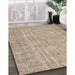 Machine Washable Traditional Dark Almond Brown Rug in a Family Room, wshtr3717