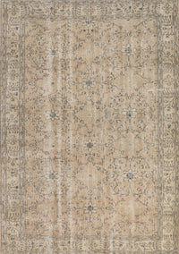 Machine Washable Traditional Dark Almond Brown Rug, wshtr3717