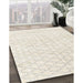 Machine Washable Traditional Champagne Beige Rug in a Family Room, wshtr3719