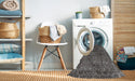 Machine Washable Traditional Gray Brown Rug in a Washing Machine, wshtr3724