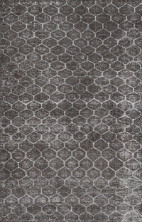 Machine Washable Traditional Gray Brown Rug, wshtr3724