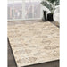 Machine Washable Traditional Light French Beige Brown Rug in a Family Room, wshtr3728