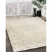 Machine Washable Traditional Tan Brown Rug in a Family Room, wshtr3737