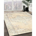 Machine Washable Traditional Moccasin Beige Rug in a Family Room, wshtr3740