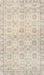 Traditional Light French Beige Brown Persian Rug, tr3741