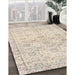 Machine Washable Traditional Light French Beige Brown Rug in a Family Room, wshtr3741