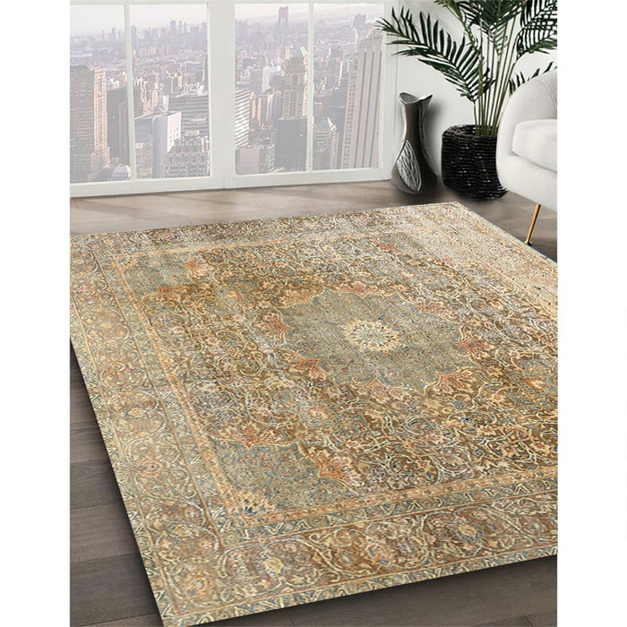 Traditional Copper Brown Persian Rug in Family Room, tr3747