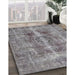 Machine Washable Traditional Dark Gray Rug in a Family Room, wshtr3748